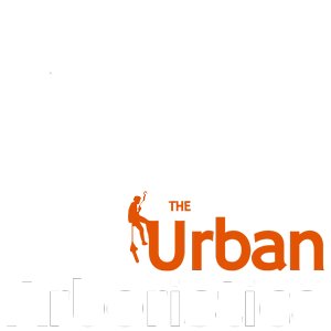 Doborâre Toaletare Nuc