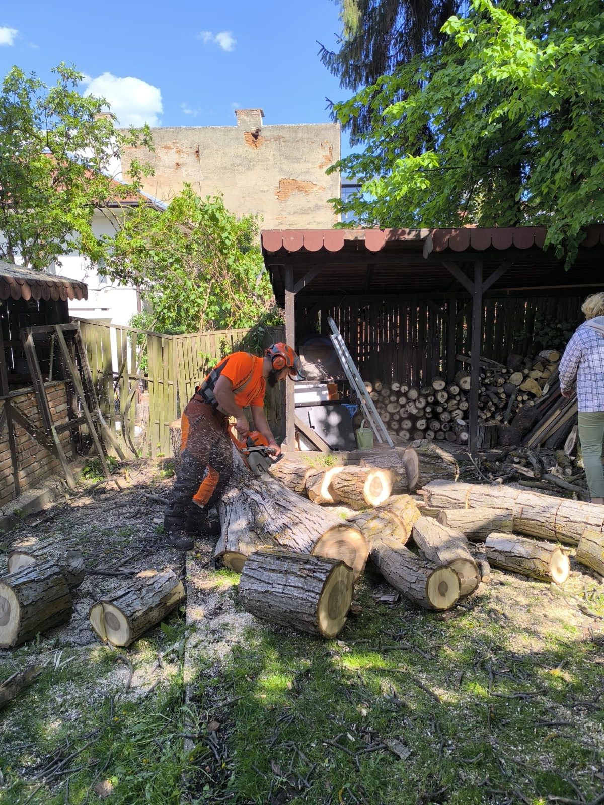 Urban Arboristica - Lucrare Taiere Nuc 14 Metri Uscat 100% - Cluj-Napoca, Cluj