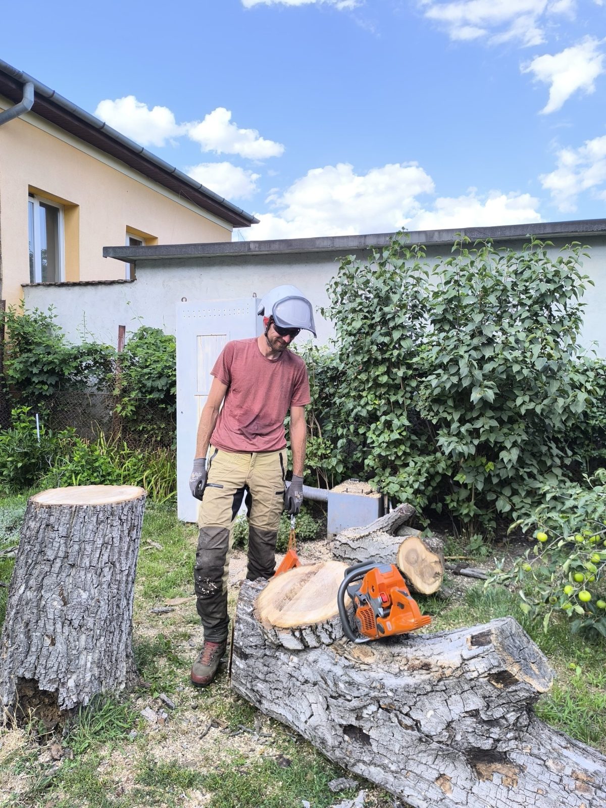 Urban Arboristica - Lucrare Taiere Nuc Uscat Periculos Cluj-Napoca, Cluj