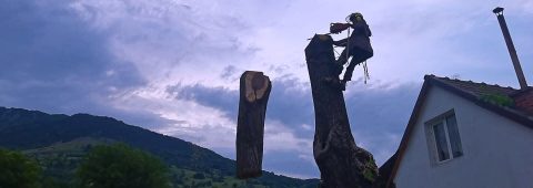 Doborâre controlată de la înălțime